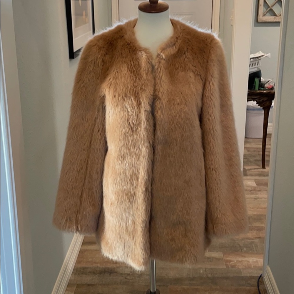 Ann Taylor Fur Jacket